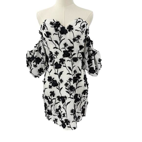 Anthropologie Applique Sabrina Mini Dress Sz 10 White Black - Picture 7 of 11